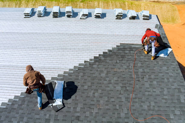 Best Metal Roofing Contractor  in Whiteville, TN