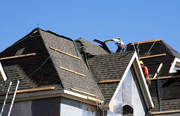 Best New Roof Installation  in Whiteville, TN