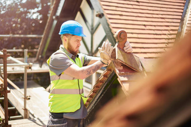 Best Roof Gutter Cleaning  in Whiteville, TN