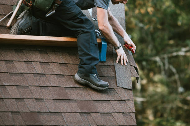 Best Roof Maintenance Services  in Whiteville, TN